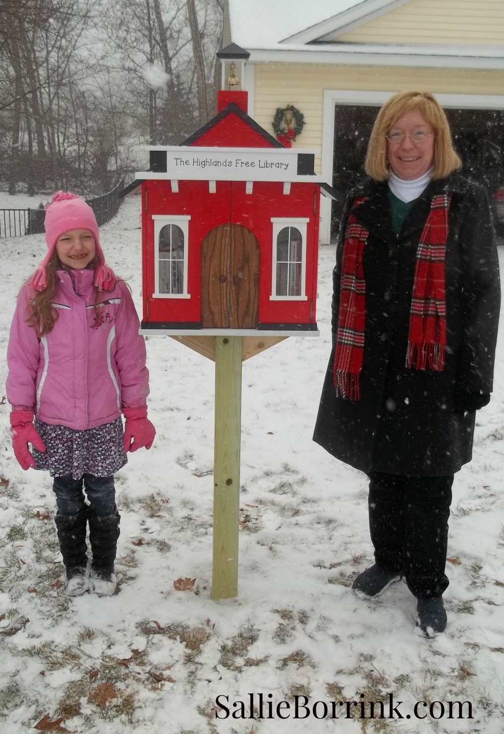 Little Red Schoolhouse Free Library 2