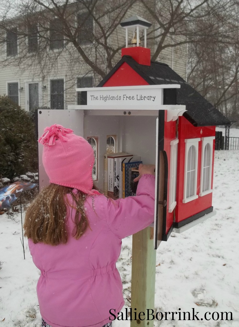 Little Red Schoolhouse Free Library 3