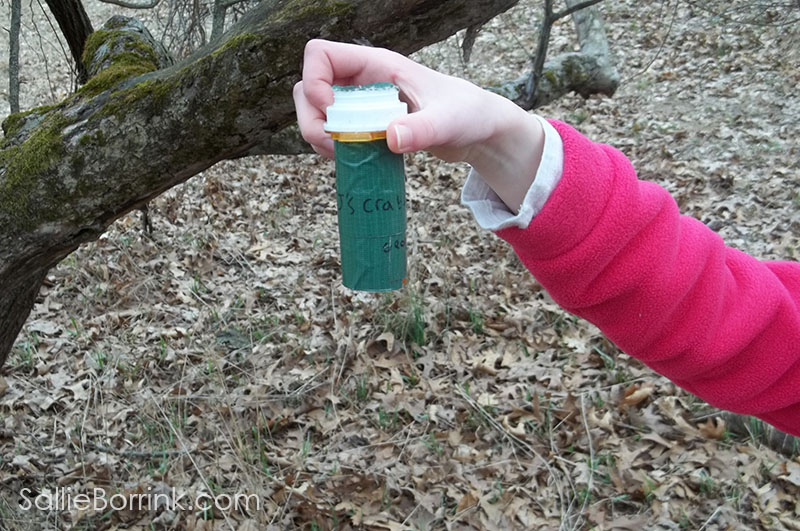 geocaching small capsule from apple tree