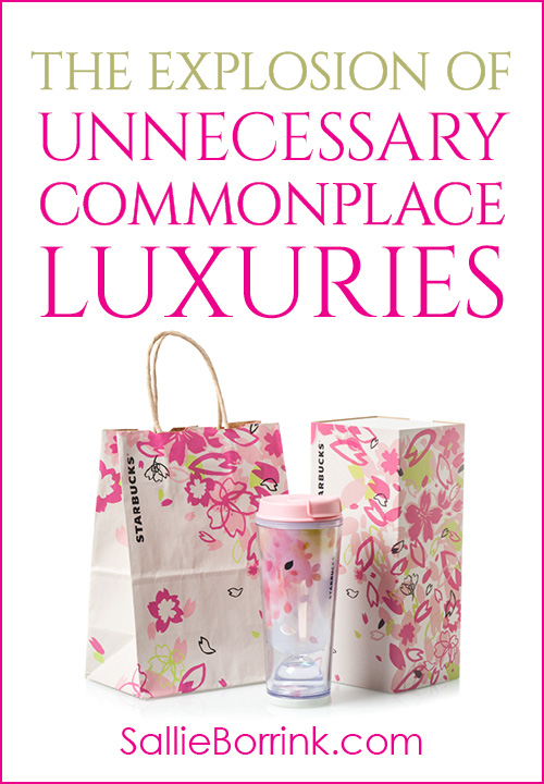 The Explosion of Unnecessary Commonplace Luxuries