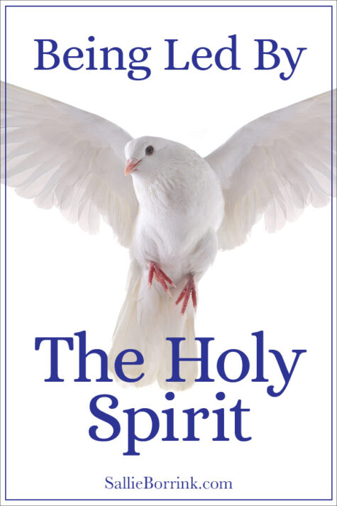 Being Led By The Holy Spirit | Sallie Borrink