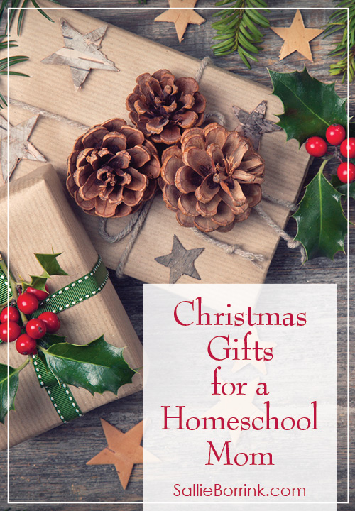 Christmas Gifts for a Homeschool Mom