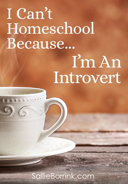 I Can't Homeschool Because... I'm An Introvert