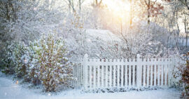 Hibernation Homeschooling