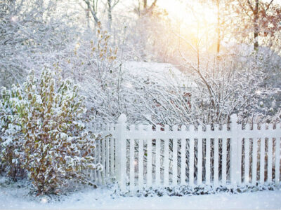 Hibernation Homeschooling