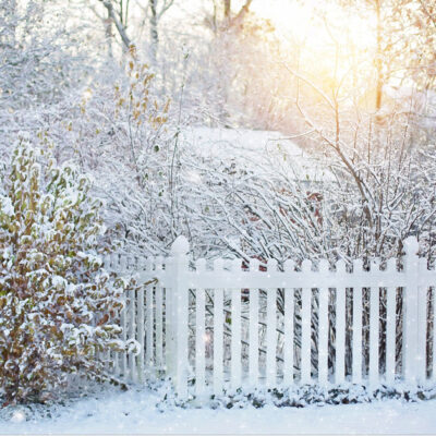 Hibernation Homeschooling