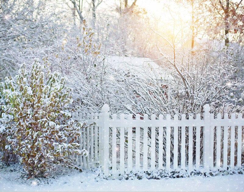 Hibernation Homeschooling