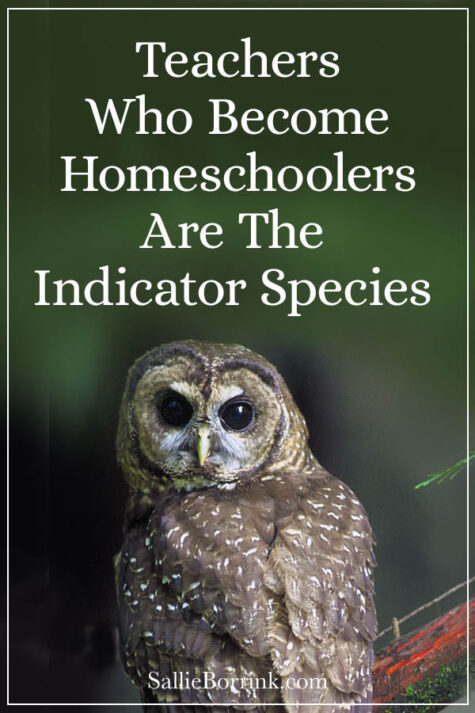 Teachers Who Become Homeschoolers Are The Indicator Species | Sallie ...