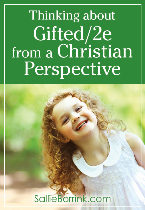 Thinking about Gifted 2e from a Christian Perspective