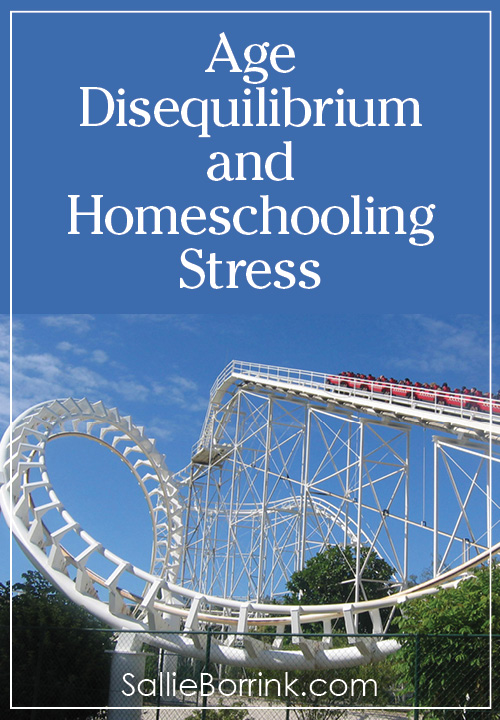 Age Disequilibrium and Homeschooling Stress