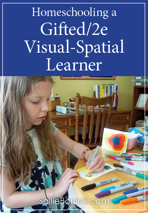 Homeschooling a Gifted2e Visual-Spatial Learner