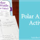 Polar Animals Activity