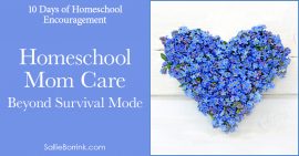 Homeschool Mom Care - Beyond Survival Mode 2