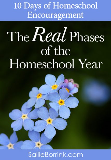 The Real Phases of the Homeschool Year