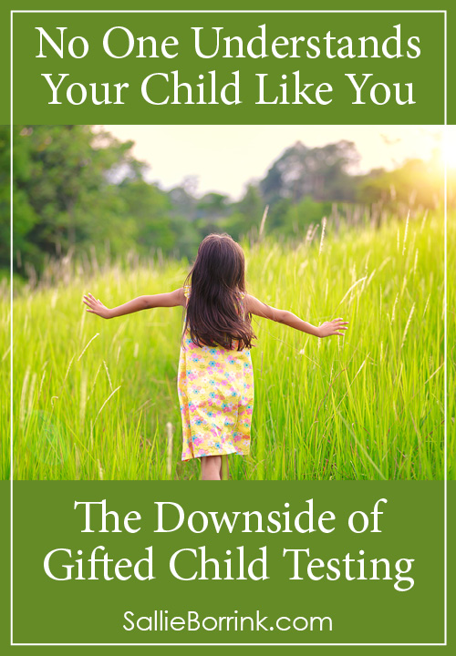 No One Understands Your Child Like You – The Downside of Gifted Child Testing