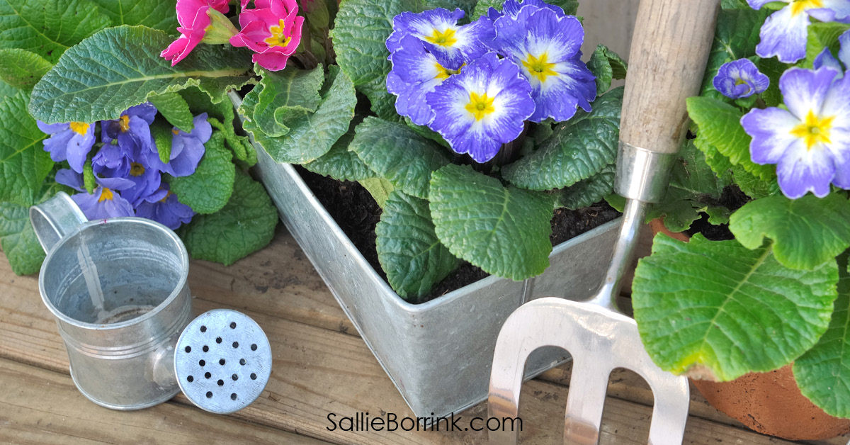 Blooming Primrose and Gardening Tools for Cozy Life in America