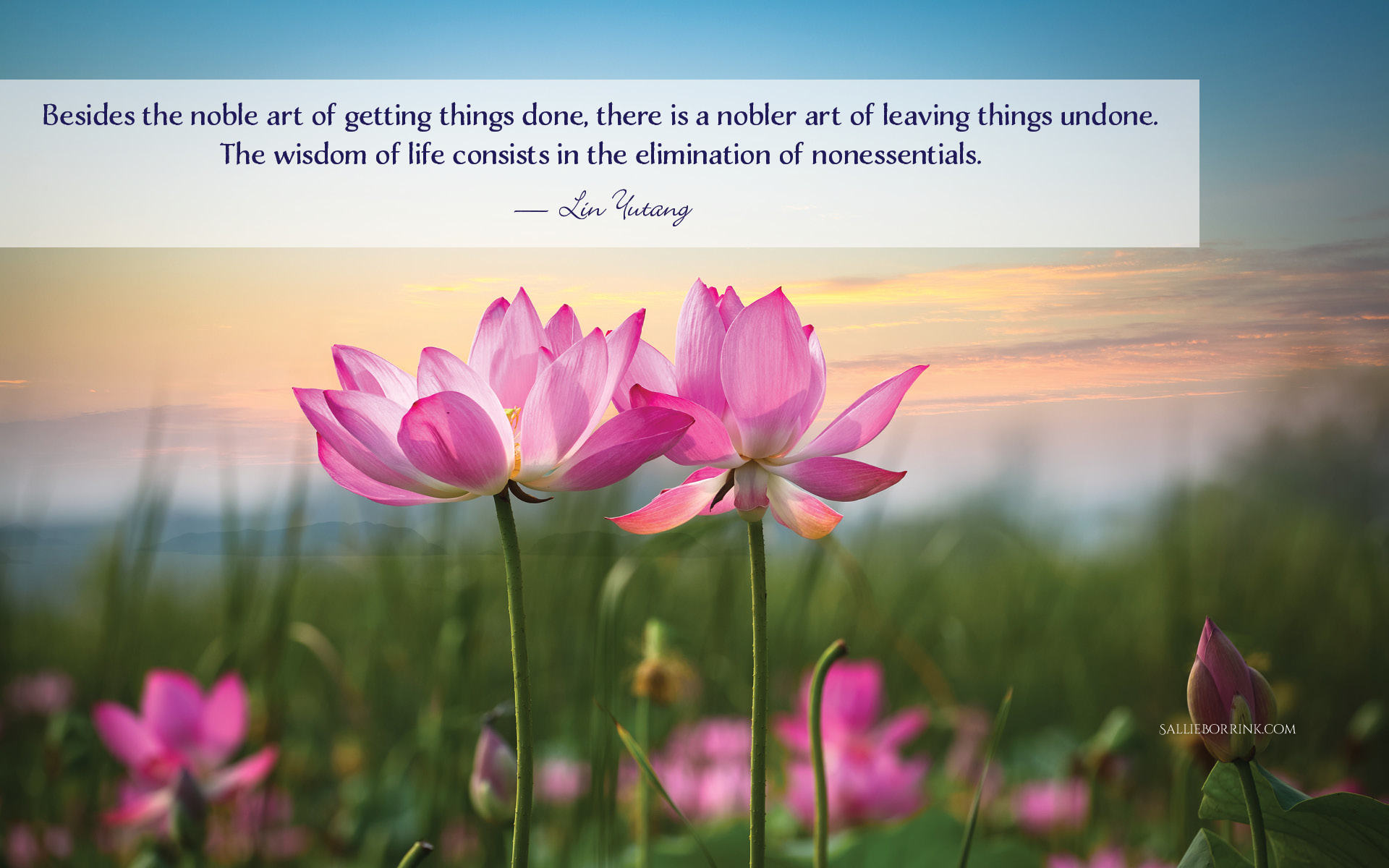 Besides the noble art of getting things done, there is a nobler art of leaving things undone. The wisdom of life consists in the elimination of nonessentials. — Lin Yutang