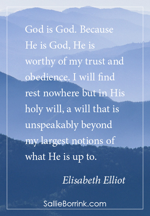 God is God. Because He is God, He is worthy of my trust and obedience. I will find rest nowhere but in His holy will, a will that is unspeakably beyond my largest notions of what He is up to. Elisabeth Elliot