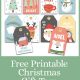 Free Printable Christmas Gift Tags Pin
