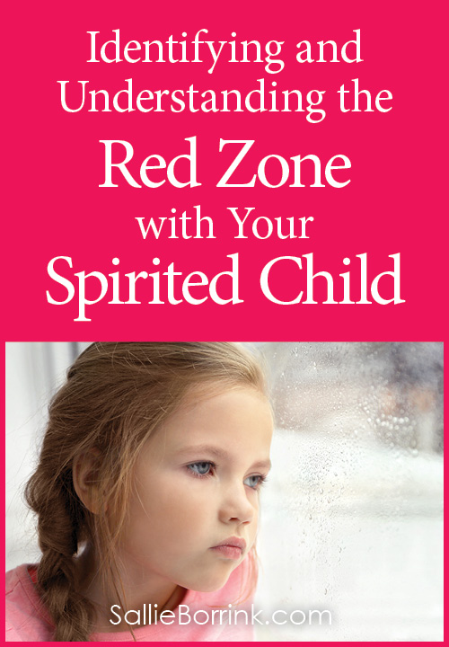 Identifying and Understanding the Red Zone with Your Spirited Child