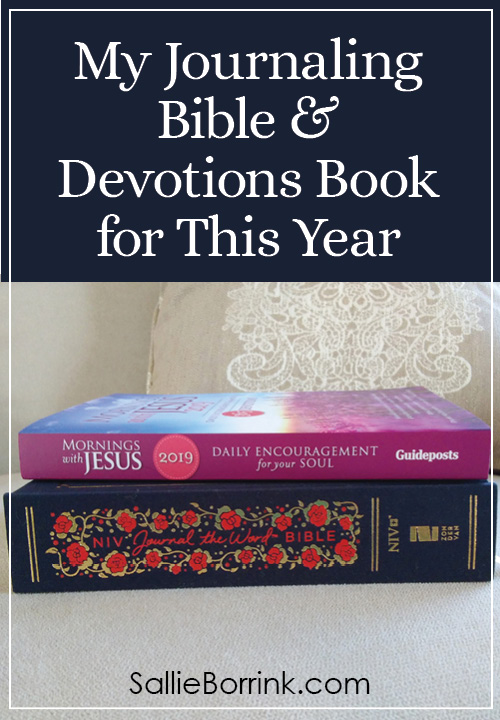 My Journaling Bible & Devotions Book for This Year
