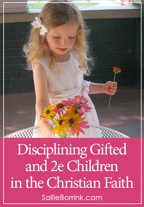 Disciplining Gifted and 2e Children in the Christian Faith