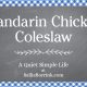 Mandarin Chicken Coleslaw