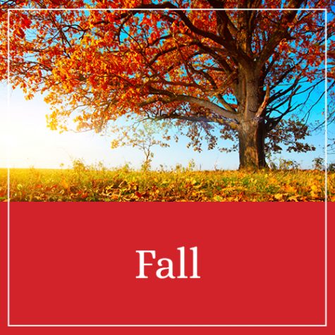 Fall Printables & Activities