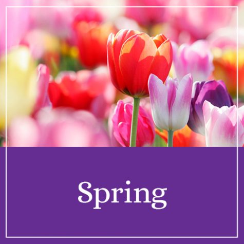 Spring Printables & Activities