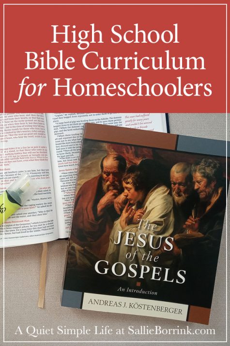 High School Bible Curriculum For Homeschoolers - The Jesus of the ...