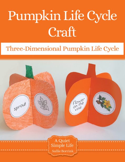 Pumpkin Life Cycle Craft