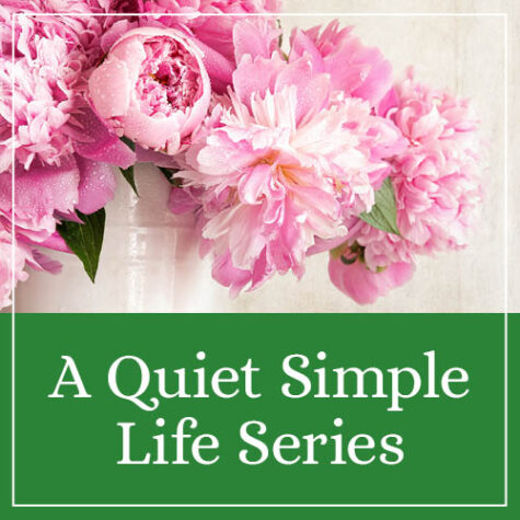 A Quiet Simple Life Series