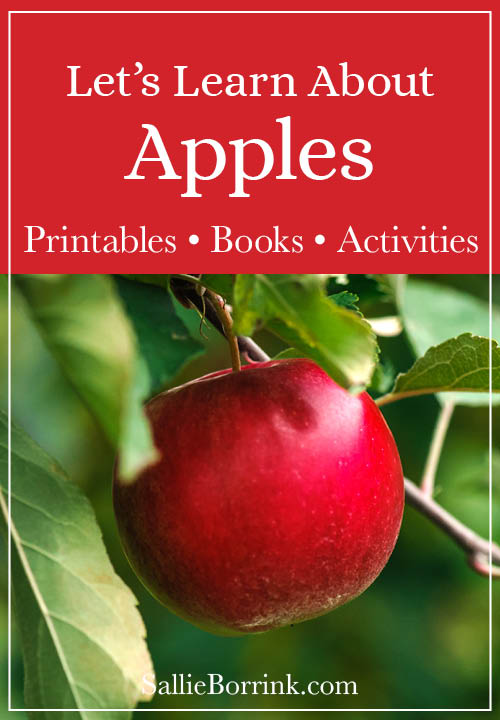 Apple Unit Ideas – Printables, Crafts and Books