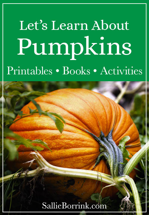 Simple Pumpkin Ideas for Kindergarten and First Grade