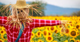 Scarecrows Unit Study