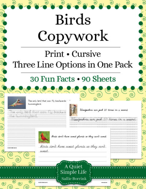 Birds Copywork – Print & Cursive