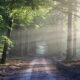 Morning Hope – Proverbs 9-1-11 SIMPLE