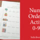 Number Ordering Activity 0-999