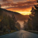 Morning Hope – Psalm 10 SIMPLE