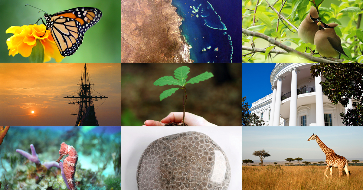 How To Create A Unit Study