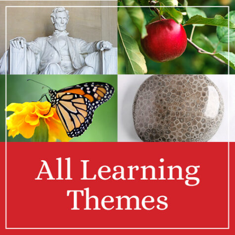 All Learning Themes