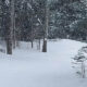 Stopping by Woods on a Snowy Evening By Robert Frost 3