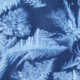 Jack Frost By Gabriel Setoun Featured Image 3
