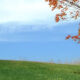September By Helen Hunt Jackson Featured Image 3