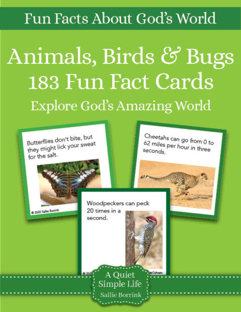 Animals, Birds, & Bugs Fun Fact Cards Bundle