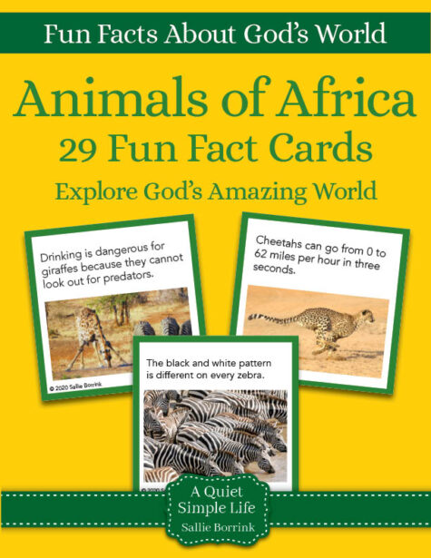 Animals of Africa Fun Facts Cards