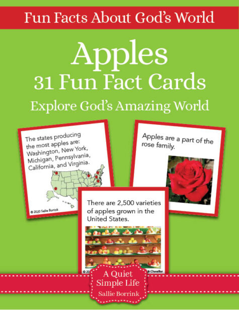Apples Fun Fact Cards - Printable Activity