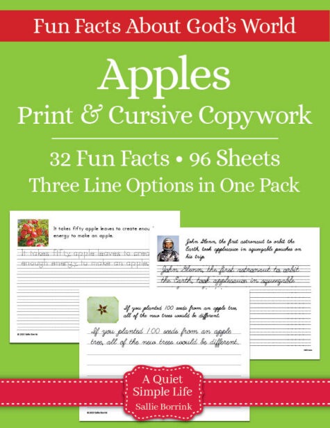 Apples Copywork - Print & Cursive