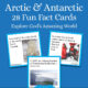 Arctic and Antarctic Fun Fact Cards