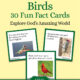 Birds Fun Fact Cards
